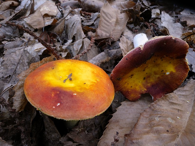 Forse l''ultima bellissima giornata..!!